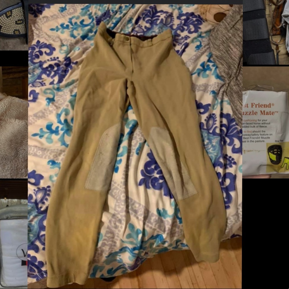 Tan riding breeches